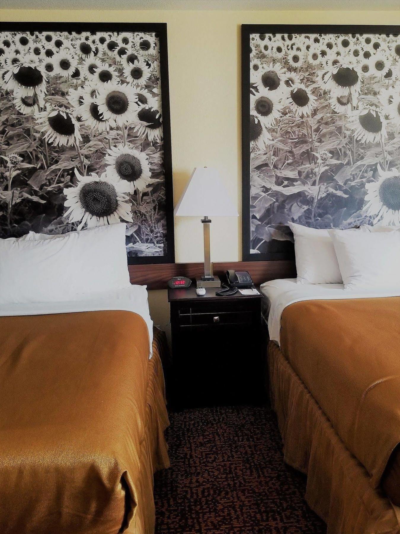 Hotel Super 8 By Wyndham Des Moines Esterno foto